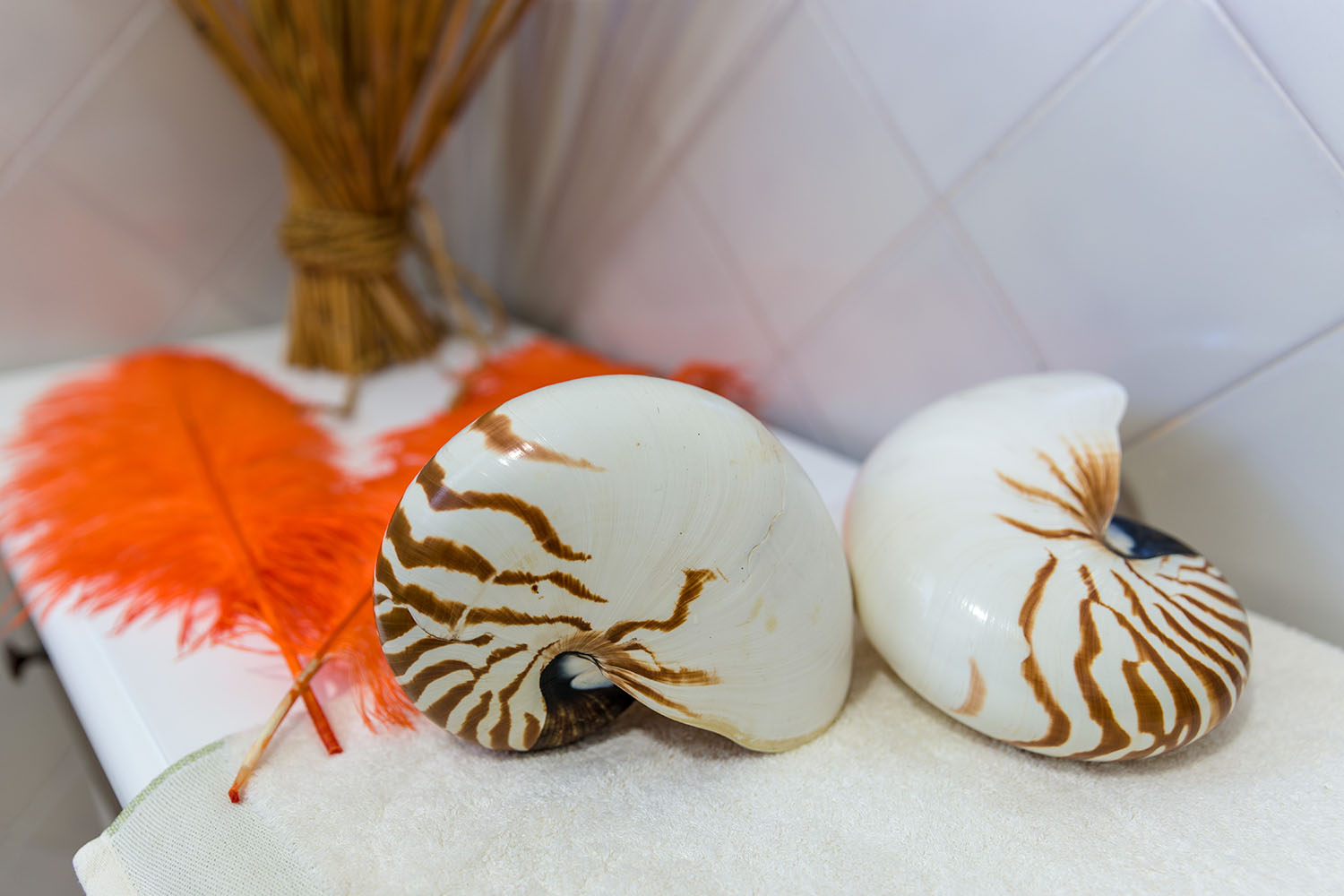 720_alta_playasol SenziaSpa.jpg